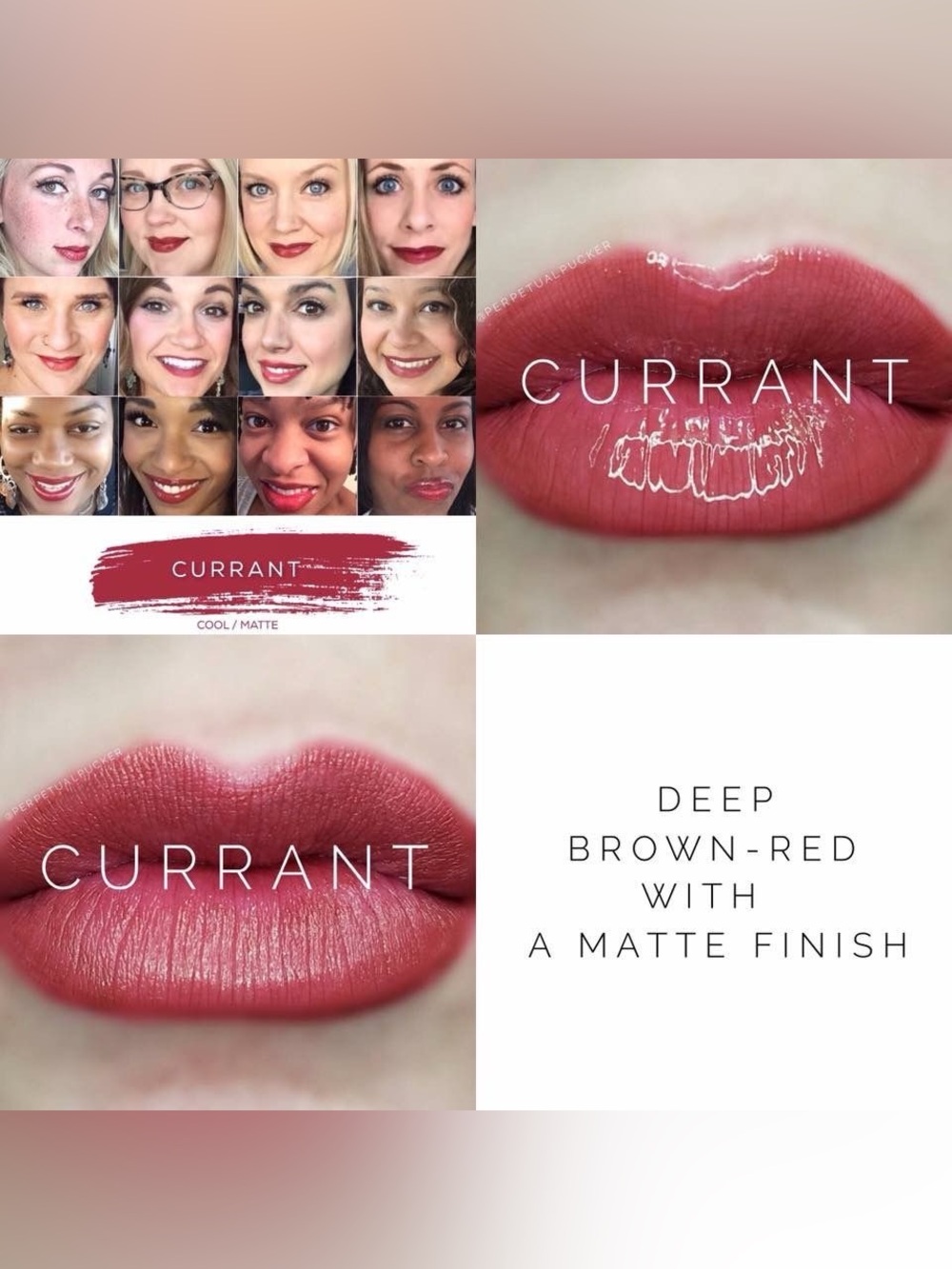 LipSense Currant Matte Lipstick — Deep Brown-Red